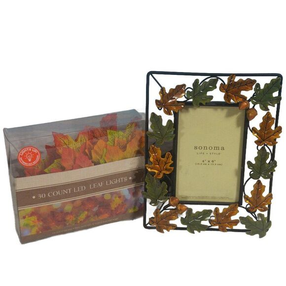 Sonoma Leaf Frame and LED Leaf Lights Bundle Fall Decor - Picture 1 of 3